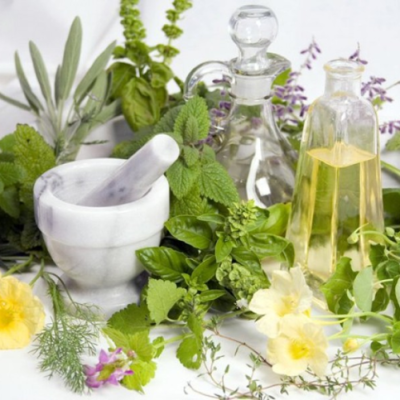 Biblical Herbal Alternatives to Pharmaceuticals